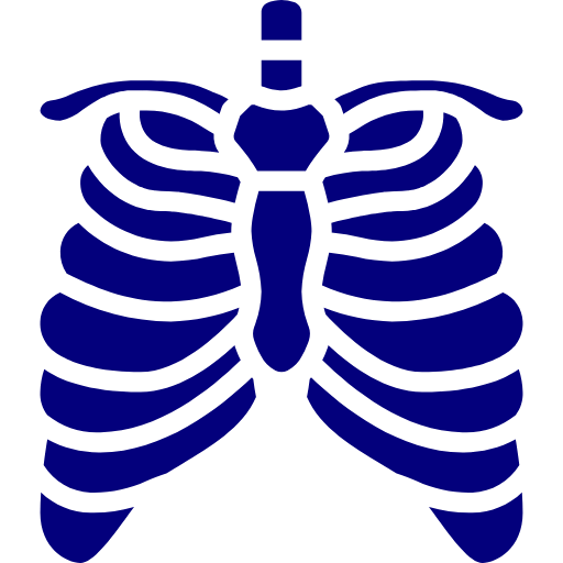 Sternum Rehabilitacija
